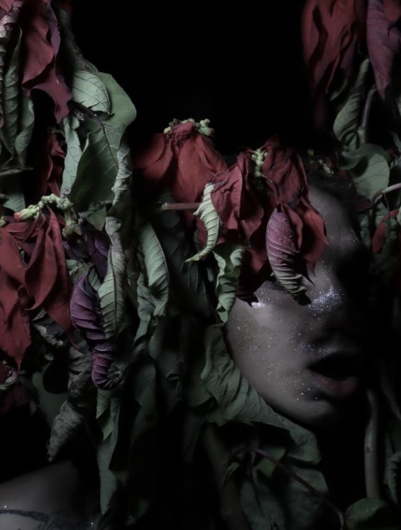 The spirit of the image
and the iconoclasm of the Ghost