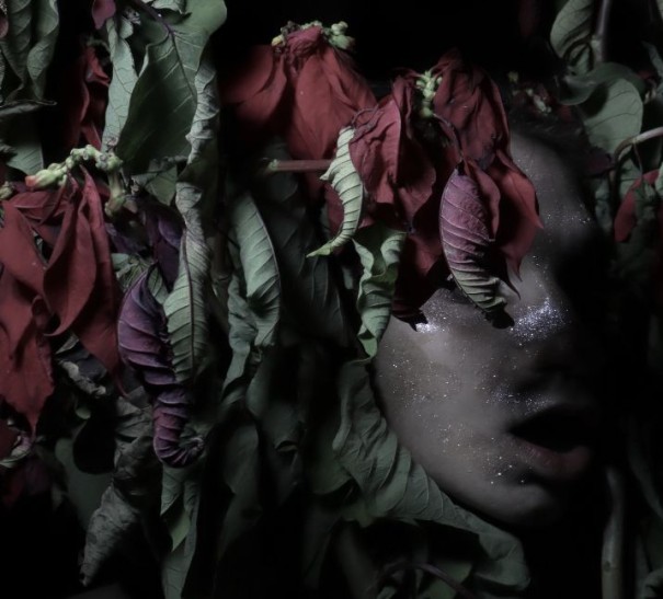 The spirit of the image
and the iconoclasm of the Ghost